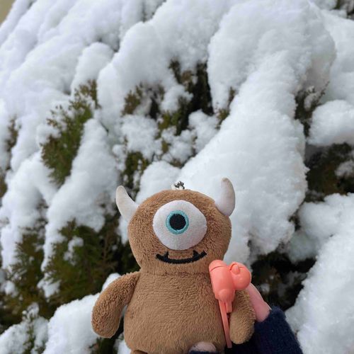 雪だ〜〜！！
あひるを作るよ！