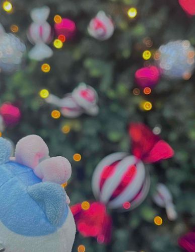 これはクリスマスツリーに見惚れるハチワレ