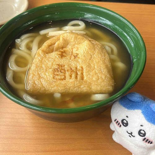 これはでっかい報酬袋に喜んでいるハチワレ