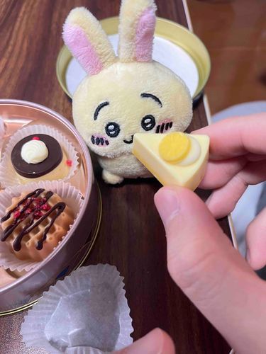 これは餌付けされるうさぎ