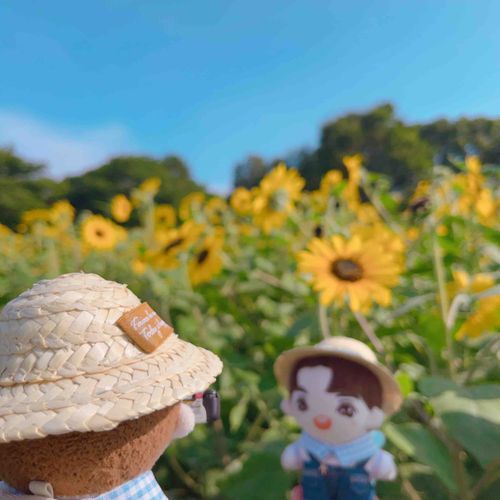 このあいだのおでかけでタインの写真をとった📸ひまわり畑にかわいい笑顔がまぶしいいちにちだった🌻
フィルムカメラもなかなかいいな

🩵わっと🩵
