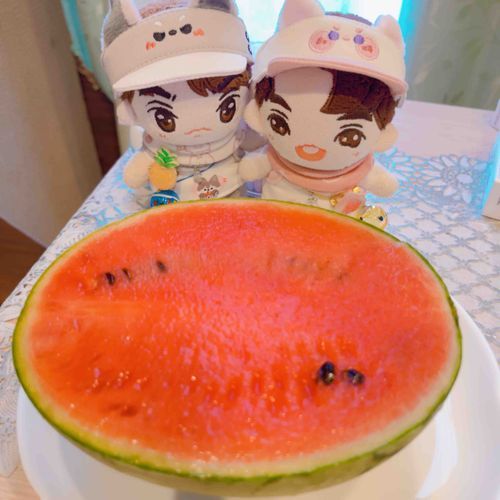 おっきいこだまスイカ、ふたりじめ！
おいしくてあっというまになくなっちゃった🥄🍉🥄
🩵わっと&たいん💛