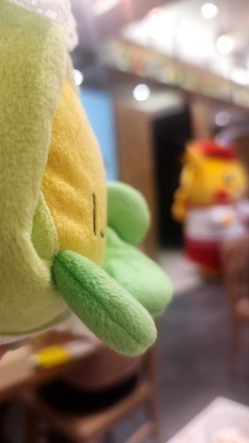 ぼんみぃ、ピカさんだよ
