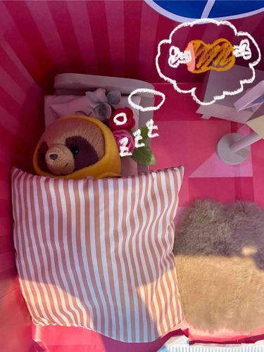 こんばんは、天ちゃんです🌙♡
今日は遊び疲れて寝ちゃってた😴
みんなはどんな夢をみたのかな？(*˘︶˘*).｡.:*♡