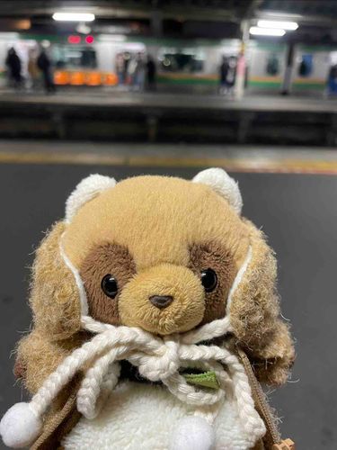 夜はやっぱりちょっとさむいよぉ:( ;´꒳`;):
みんなはどうやってあったかくしてるのかな？˶˙ᵕ˙˶)꜆