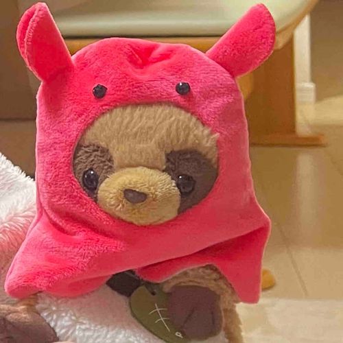 みてみてー！
メンダコのお洋服！🐙💗
天ちゃんこれ、、似合ってる、、、？(°°;)"((;°°)