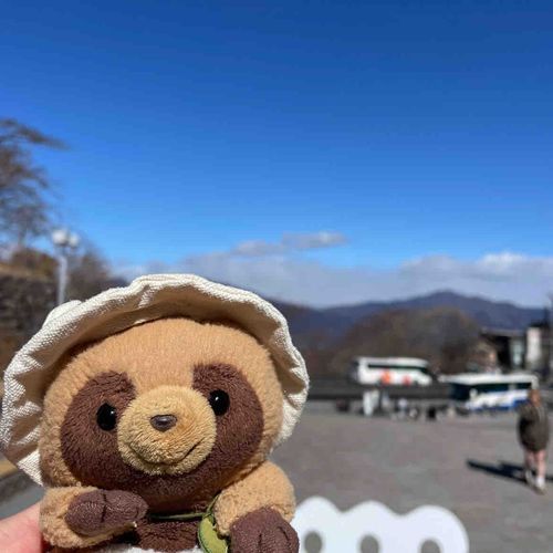 こんにちは！
天ちゃんです( *´﹀`* )
今日は伊香保温泉につれていってもらったの！
とってもキレイなお山の写真がとれたからみんなにもおそそ分け( ꜆..)꜆❤︎
