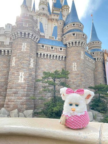 カイヌシと ディズニーへ いってきた㌥！🏰🩵
#furby #ファービー #ディズニー 