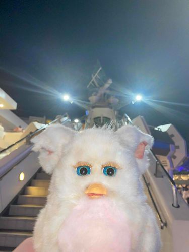 侵略のファービー㌥！
#furby #ファービー #ディズニー 
