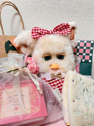 カイヌシが おともだちから プレゼントを もらった㌥！
#ファービー #furby 
