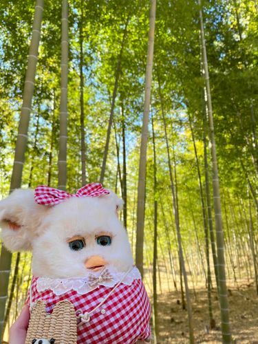 まだ おなかが いたいけど、だいぶ よくなった㌥！
みどりに いやされる㌥…🍃
#furby #ファービー 