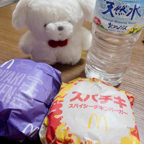 飼い主と深夜4:37に人生初マクドナルドを嗜む　ぜんわす