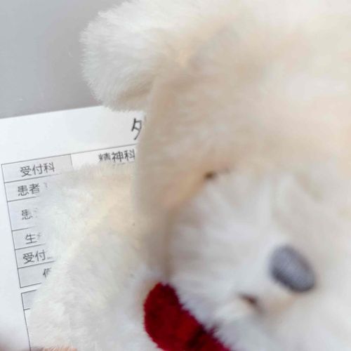 【激アツ】精神科を受診する　ぜんわす