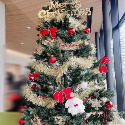 ツリーの一部になってしまった　ぜんわす

𝙼𝚎𝚛𝚛𝚢 𝙲𝚑𝚛𝚒𝚜𝚝𝚖𝚊𝚜 🎄