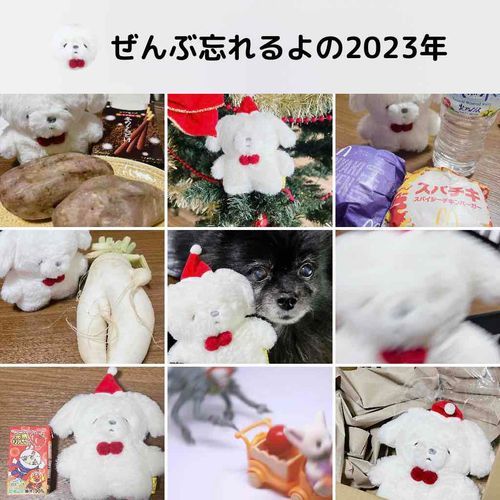 いい1年❗な　ぜんわす