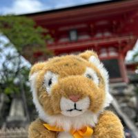 しまちゃん