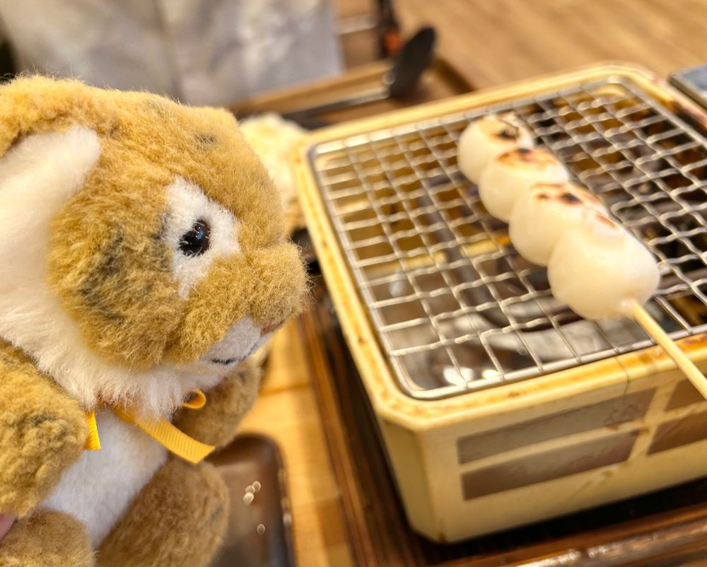 しまちゃんちはおかげ庵おやつだよ〜！🍡🐯
