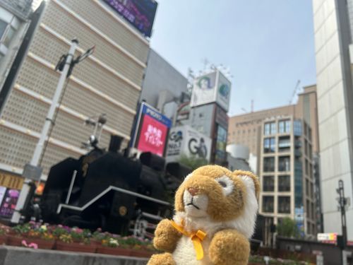 なんか汽車あった🚂🐯