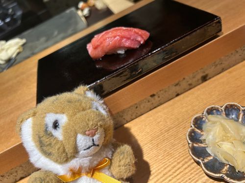 トロはあえての薄切り三枚重ねだって〜！おいし〜！🍣🐯