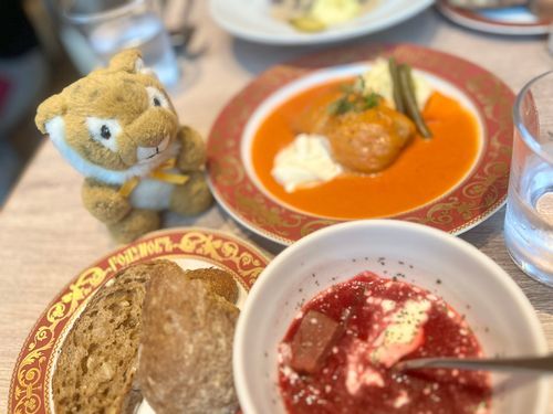 今日はロシア料理ランチだよぉ🐯🪆ボルシチおいしかった〜！