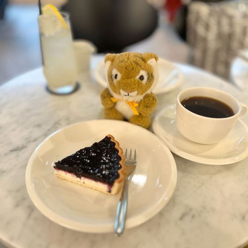 🫐🐯☕️