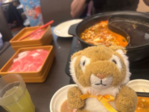 夏もしゃぶ葉だよねえ🐯