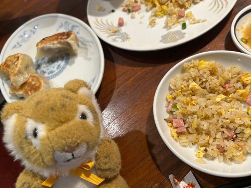 また町中華に吸い寄せられた…(２日連続)🐯🥟