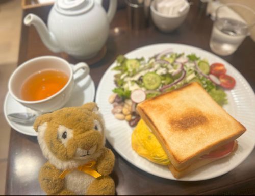だぁいすきなハーブスの大きいサンドイッチを久々に食べてきたしまちゃん🥪🐯🥪