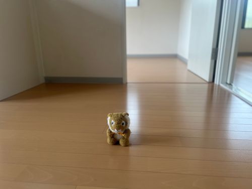 ひっこしまちゃん🏠🐯🚚