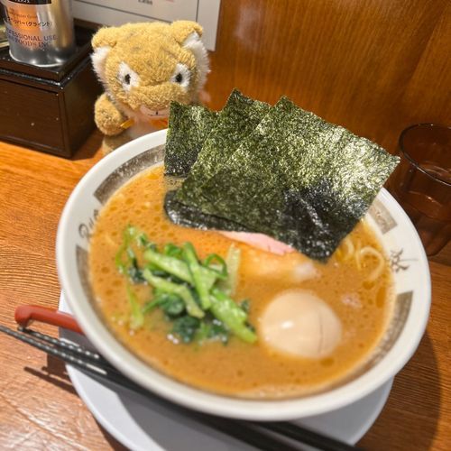 新たなラーメン屋との出会いなんだよねぇ🐯🍜