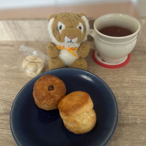 ご近所においしいスコーンやさんを発見したよぉ🐯🥐