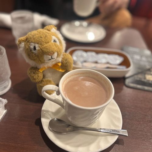 ちょっと肌寒かったからルノアールでホットココアを飲んだよお