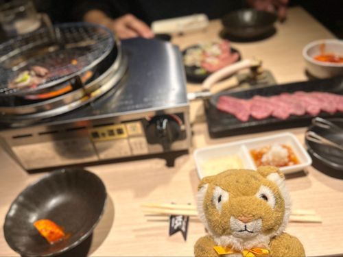 ちょっとお高い焼肉だよぉ🥩🐯🥩
