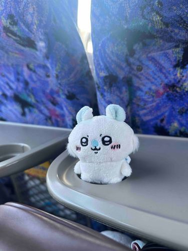 初めてのバスかな🚌