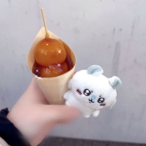 京都でみたらし団子食べたね🍡