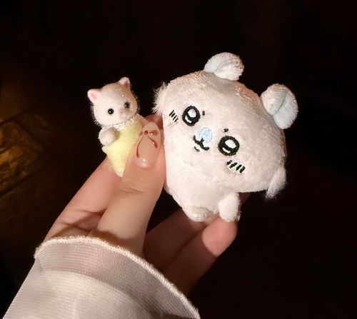 真っ暗闇の中ペルシャちゃんとふたりきり