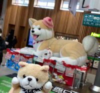 あきたと愉快な仲間たち