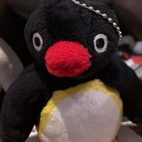 あきたくんちのピングー