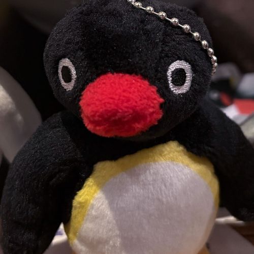 NOOT‼️NOOT‼️