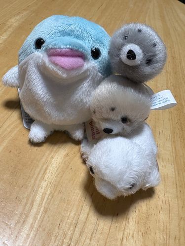 あ〜〜〜〜°
3連のアザラシさんと一緒に✌️