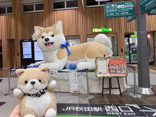 大晦日ですが自分の故郷である、秋田駅へやってきました！✨

明日、朝早くからまた移動するので、自分の育ったお土産屋さんには寄れませんが…
改札口前の大先輩に挨拶はできました！！！
