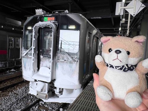 あけましておめでとうございます🎍
今年も仲良くしていただけると幸いです！

今日は津軽鉄道へ向かっています。
東北の電車たち、雪の髭がついててダンディです🥸