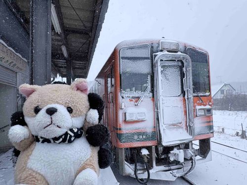 友達が‼️手で守ってくれているけども‼️吹雪いています‼️寒い‼️

左側に少し見えていますが、最北端の私鉄駅である津軽中里駅です。