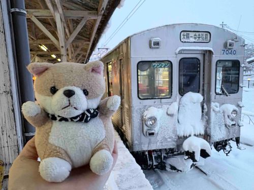 今日の最後の電車です。

2028年3月末に事実上の廃線になってしまう弘南鉄道大鰐線です…ˊ• ·̭ •̥`