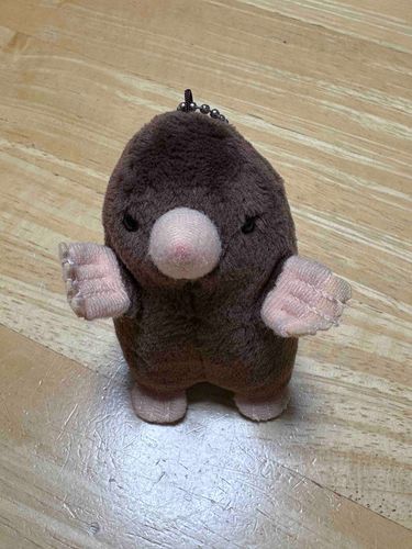 ✋新人のモグタンです✋
✋よろしくね✋
