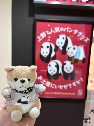 どうですか？似合っていますか？✨