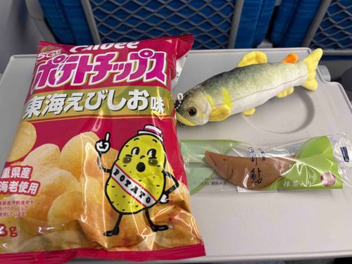 車内、一瞬危険だったんだ🐟⚠️

えび(ポテチ)か…
登り鮎(和菓子)か
俺か…
食べられずに品川に行けてよかったぜ…