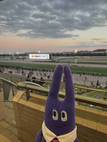 初めて行った競馬場で400円程スってしまいました。空がきれいです。