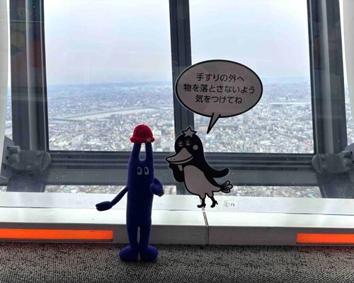 450mです🗼