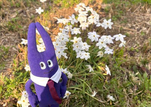 3年目です。前進あるのみです！